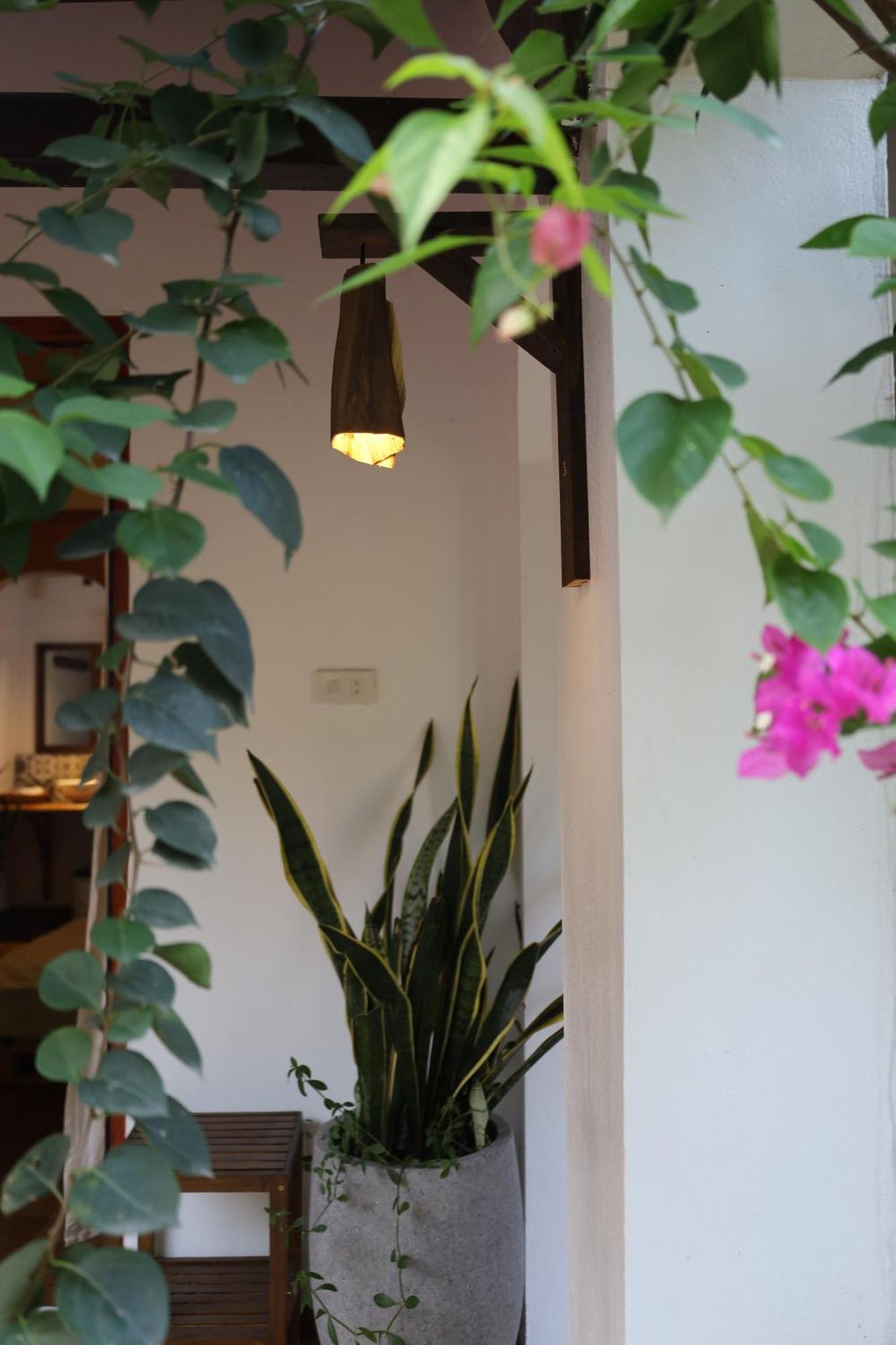 Thom'S House Hotel นิญบิ่ญ ภายนอก รูปภาพ